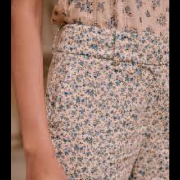 Briggs Capris - Picture 1 of 9